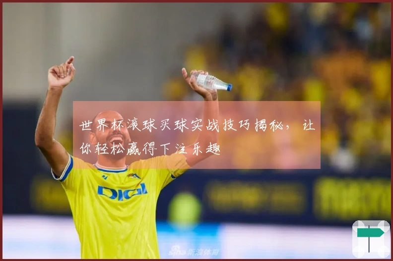世界杯滚球买球实战技巧揭秘，让你轻松赢得下注乐趣