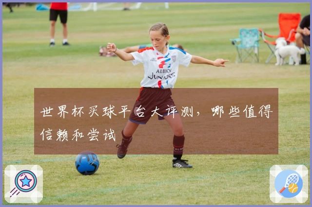 世界杯买球平台大评测，哪些值得信赖和尝试