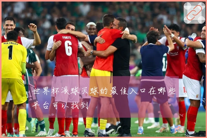 世界杯滚球买球的最佳入口在哪些平台可以找到
