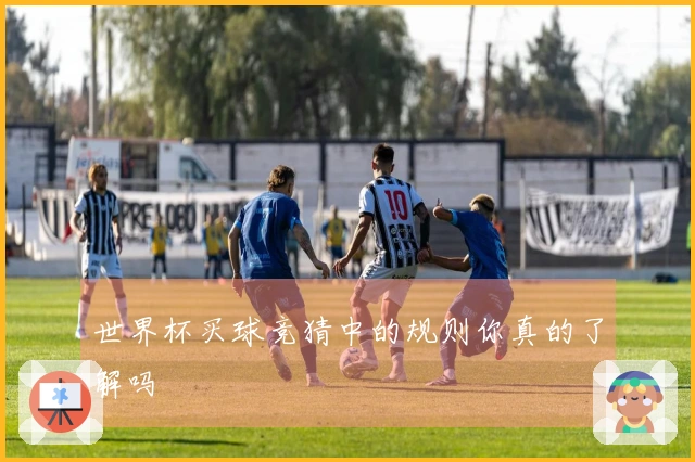 世界杯买球竞猜中的规则你真的了解吗