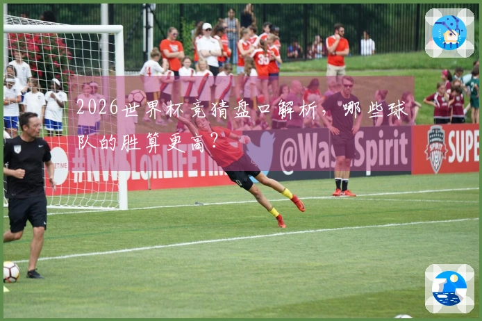 2026世界杯竞猜盘口解析，哪些球队的胜算更高？