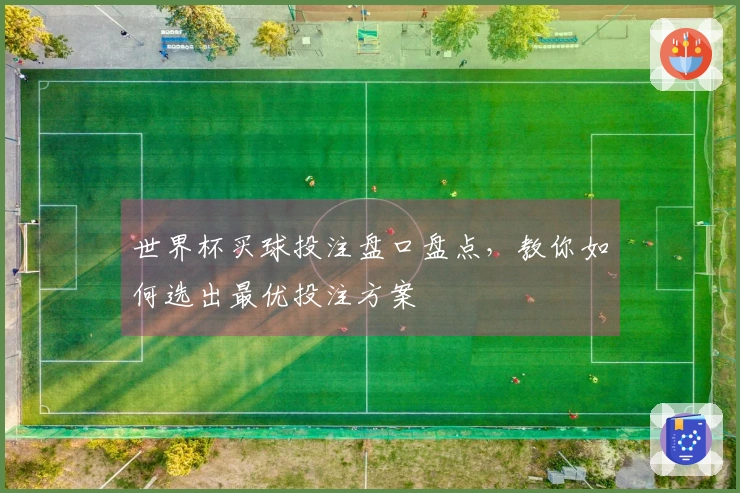 世界杯买球投注盘口盘点，教你如何选出最优投注方案