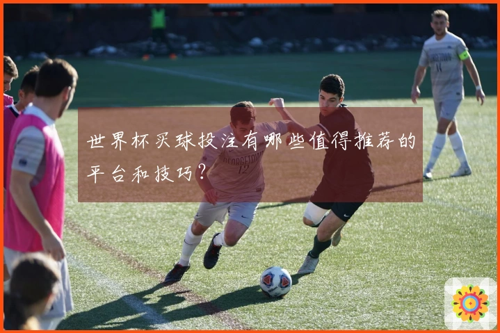 世界杯买球投注有哪些值得推荐的平台和技巧？