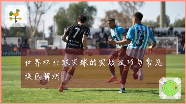 世界杯让球买球的实战技巧与常见误区解析