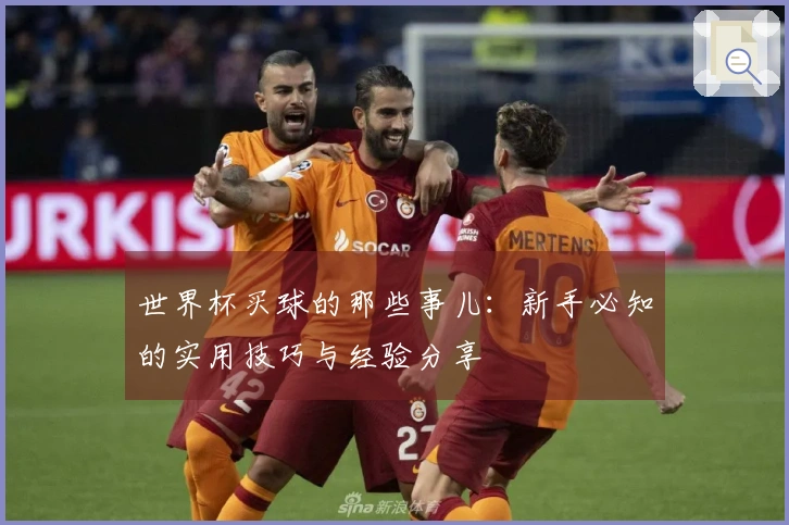 世界杯买球的那些事儿：新手必知的实用技巧与经验分享