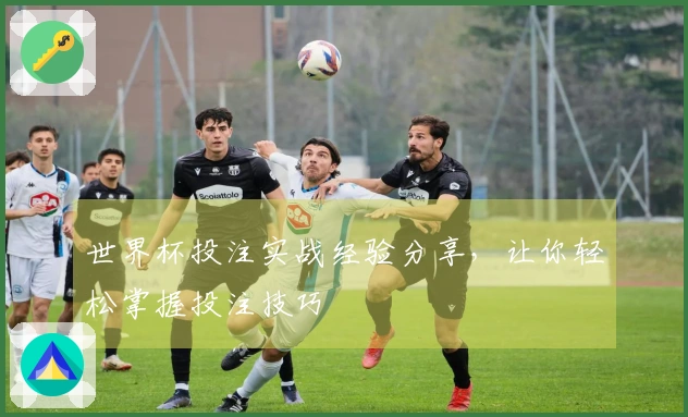 世界杯投注实战经验分享，让你轻松掌握投注技巧