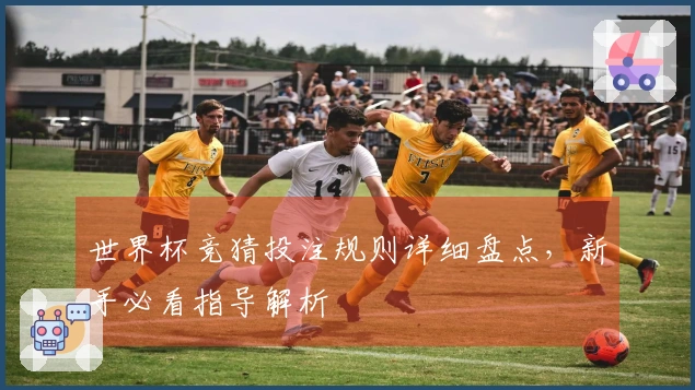 世界杯竞猜投注规则详细盘点，新手必看指导解析