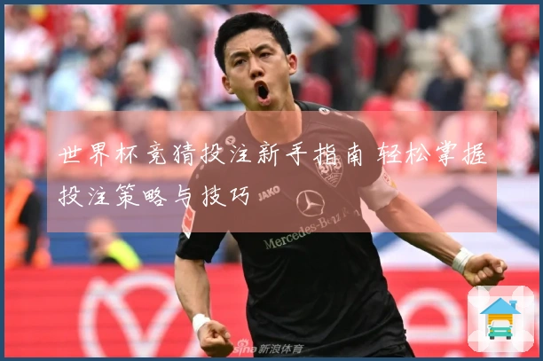 世界杯竞猜投注新手指南 轻松掌握投注策略与技巧