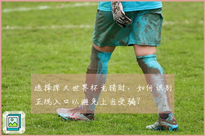选择烽火世界杯竞猜时，如何识别正规入口以避免上当受骗？