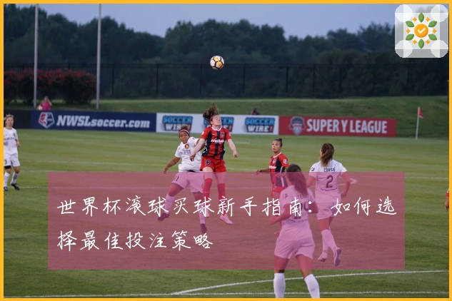 世界杯滚球买球新手指南：如何选择最佳投注策略