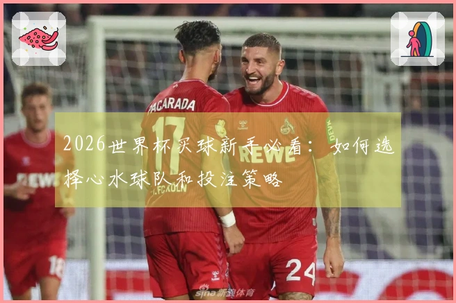 2026世界杯买球新手必看：如何选择心水球队和投注策略