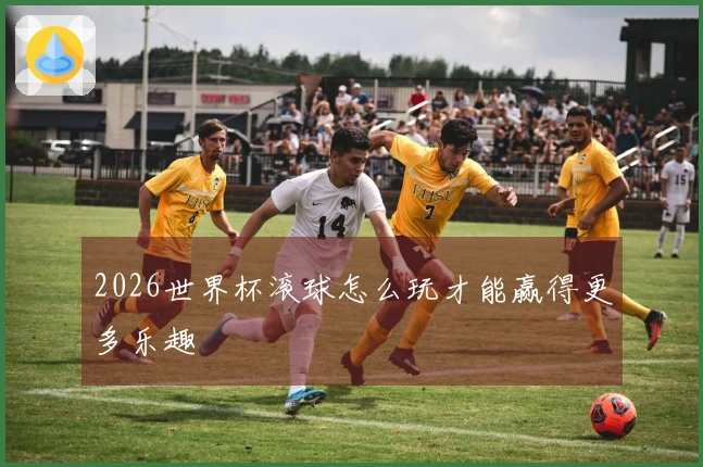 2026世界杯滚球怎么玩才能赢得更多乐趣