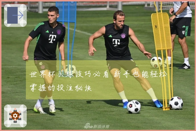 世界杯买球技巧必看 新手也能轻松掌握的投注秘诀