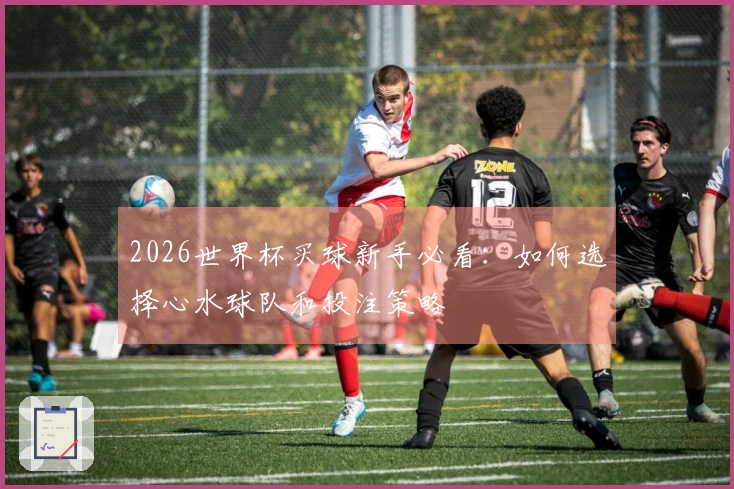 2026世界杯买球新手必看:如何选择心水球队和投注策略