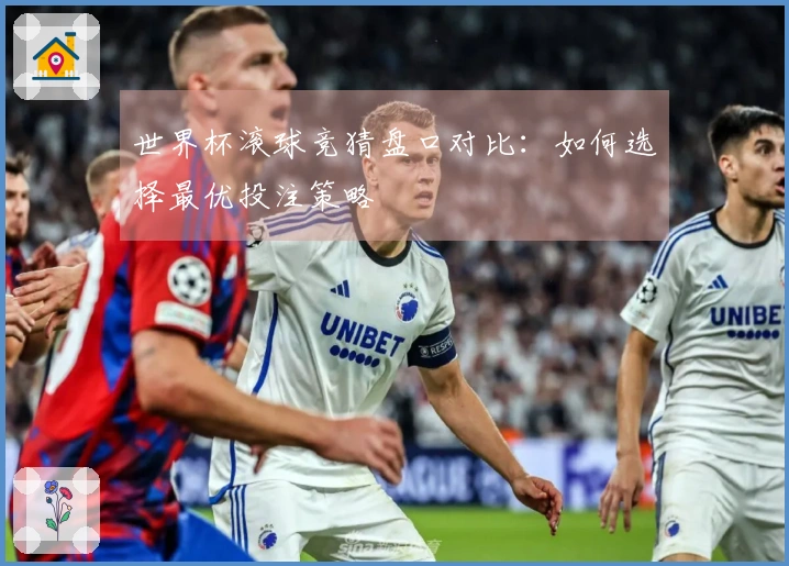 世界杯滚球竞猜盘口对比：如何选择最优投注策略