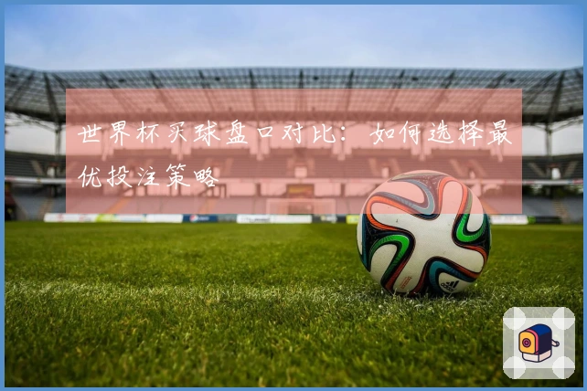 世界杯买球盘口对比：如何选择最优投注策略