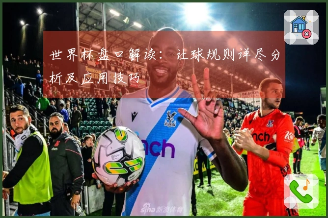 世界杯盘口解读：让球规则详尽分析及应用技巧